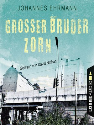 cover image of Großer Bruder Zorn